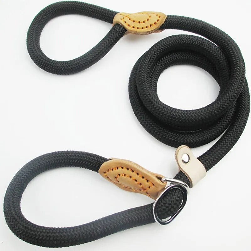 Guillaume Laisse – Heavy-Duty Climbing Rope Dog Leash | Comfortable Grip & Maximum Control