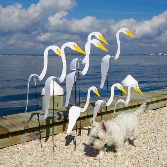 FLAIRIGO™⎪Turn Every Breeze Into a Smile