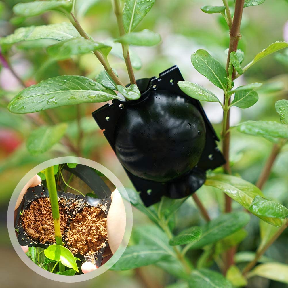 Rootball Grow Box – Effortless Plant Propagation with Reusable Rooting Container