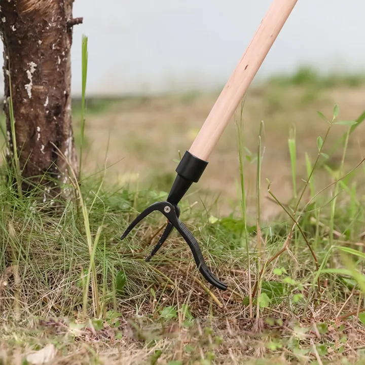 Weed Removal Tool – Iron Head for Effortless Lawn & Garden Weed Extraction