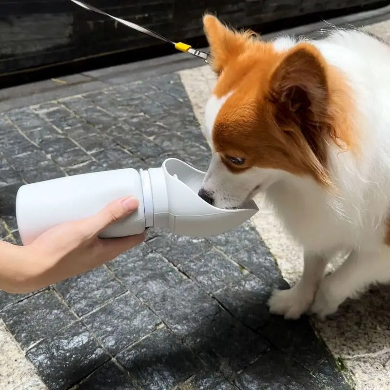 Léo Voyageur – Foldable Water Bottle for Pets | Leakproof, One-Hand Use, 550ml Capacity