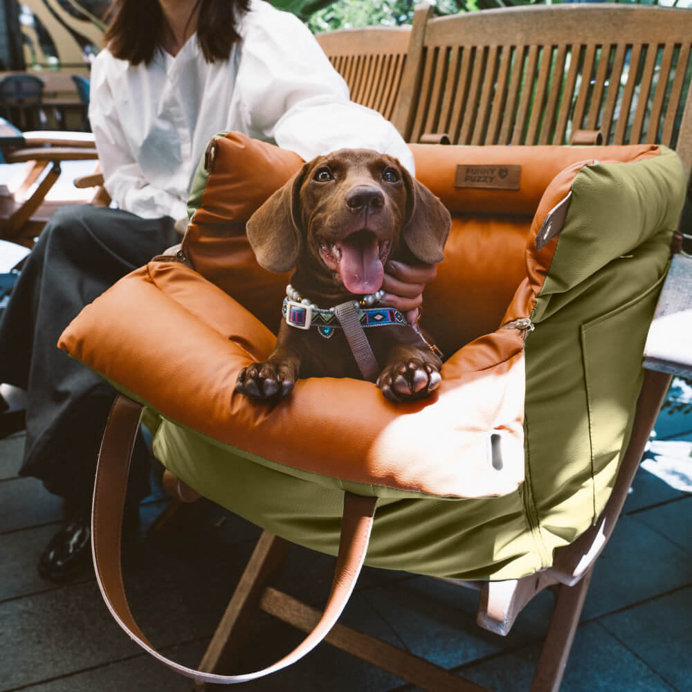 PawLuxury – Premium Dog Car Seat for Safe & Stylish Travel