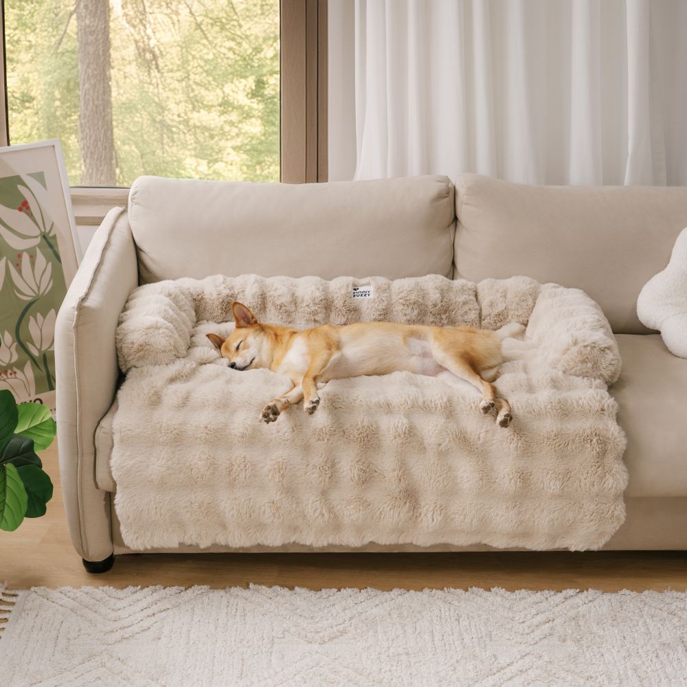 Plushnest – Cozy Sofa Bed for Dogs + Sofa Protector with Anti-Slip Base