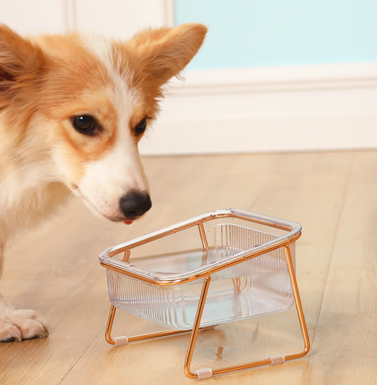 DIGESTO™⎪Elevated Feeding Bowl for Cats & Small Dogs