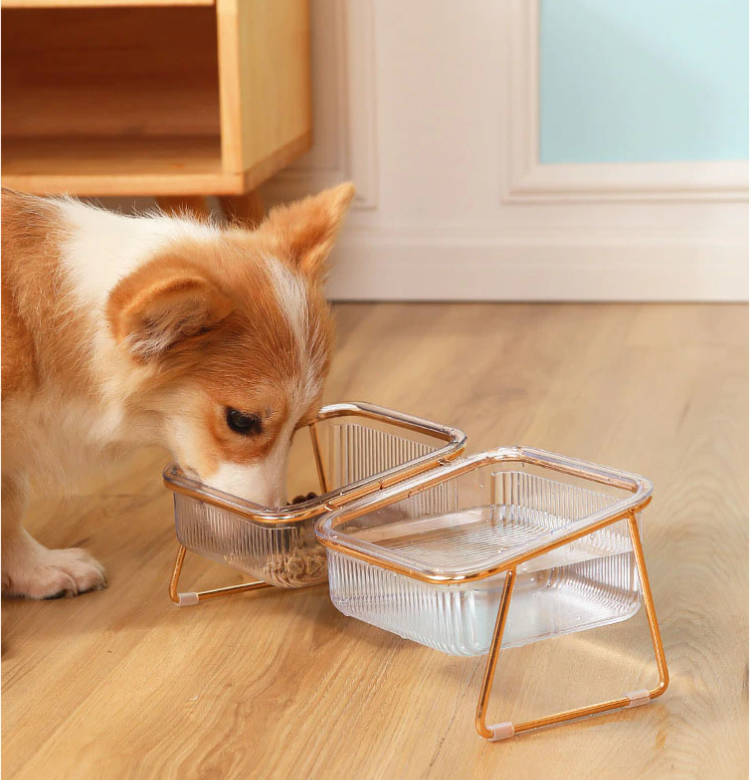 DIGESTO™⎪Elevated Feeding Bowl for Cats & Small Dogs