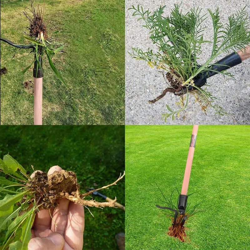 Weed Removal Tool – Iron Head for Effortless Lawn & Garden Weed Extraction