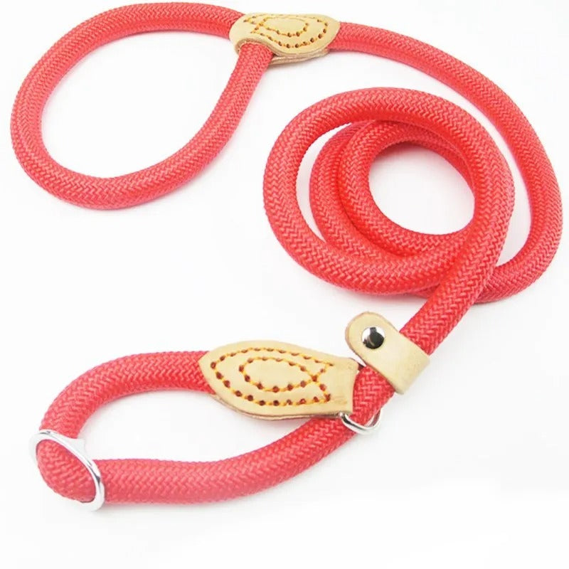 Guillaume Laisse – Heavy-Duty Climbing Rope Dog Leash | Comfortable Grip & Maximum Control