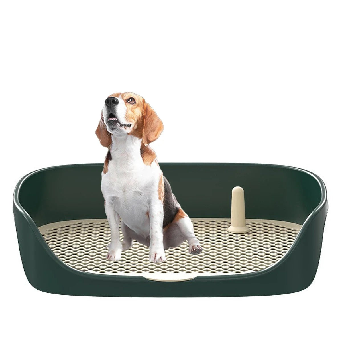 Victor Formation – Puppy Toilet Trainer with Splash Guard | Hygienic Training Tray for Housebreaking Dogs & Kittens