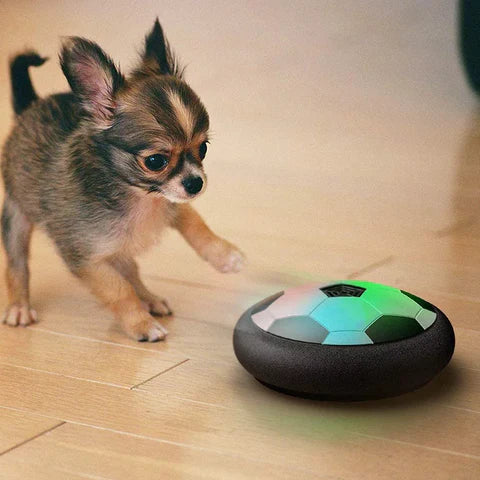 Playball Pro – Smart Jumping Dog Toy + Unpredictable Movement for Indoor & Outdoor Fun