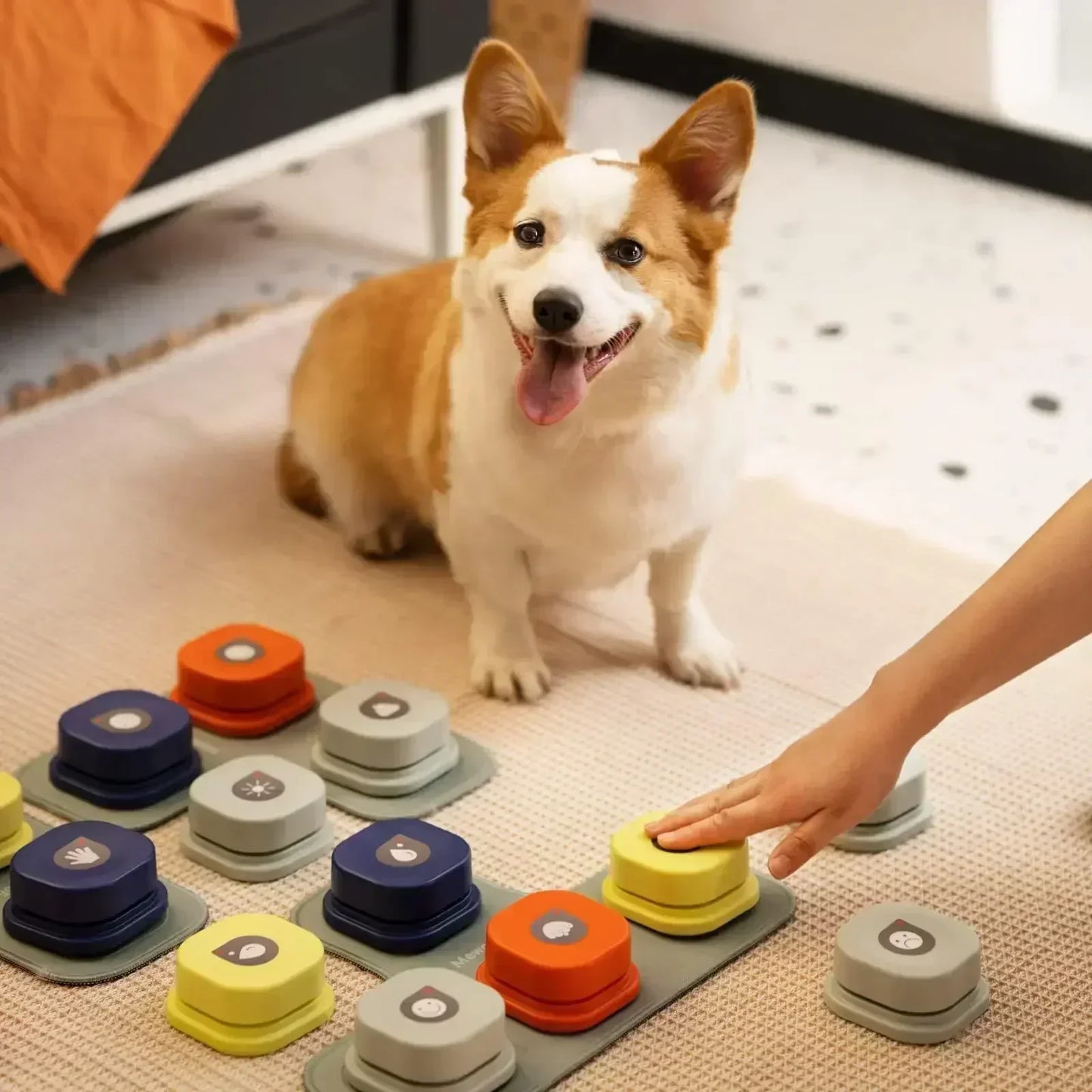 BarkTalk – Interactive Voice Buttons for Dog Communication & Training