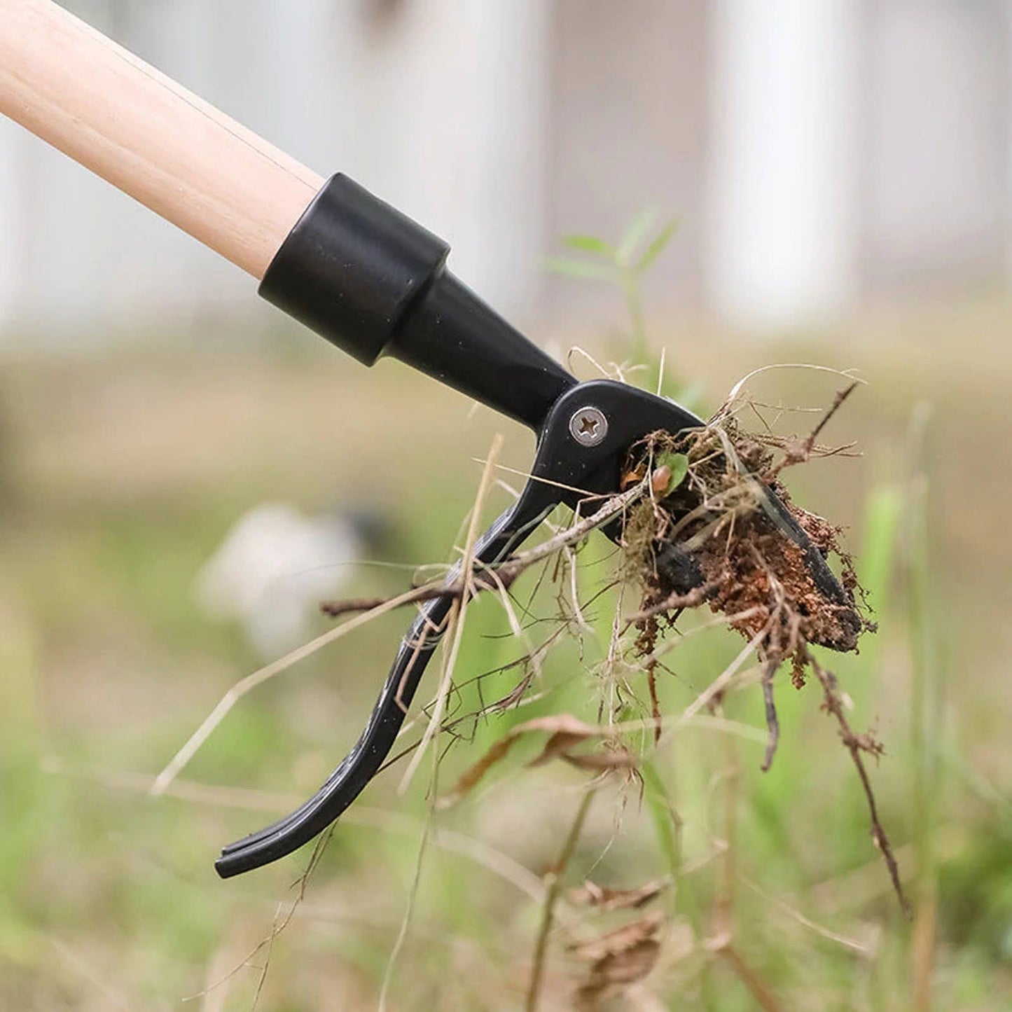 Weed Removal Tool – Iron Head for Effortless Lawn & Garden Weed Extraction