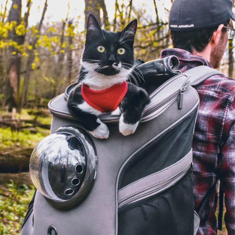 CATTREKKER – Foldable Cat Travel Carrier with Panoramic Window for Stress-Free Adventures