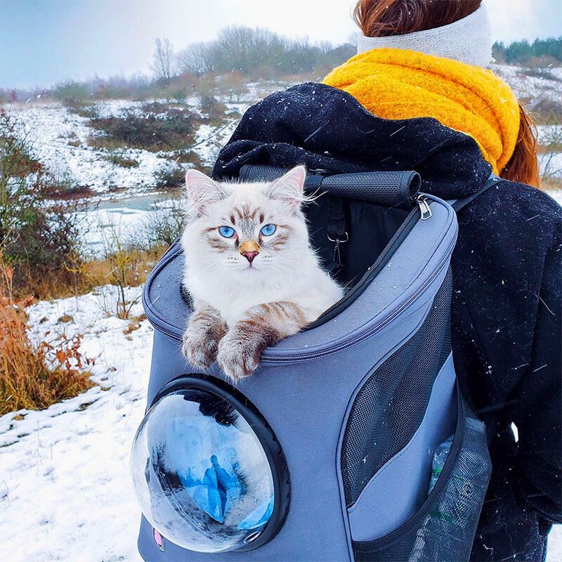 CATTREKKER – Foldable Cat Travel Carrier with Panoramic Window for Stress-Free Adventures
