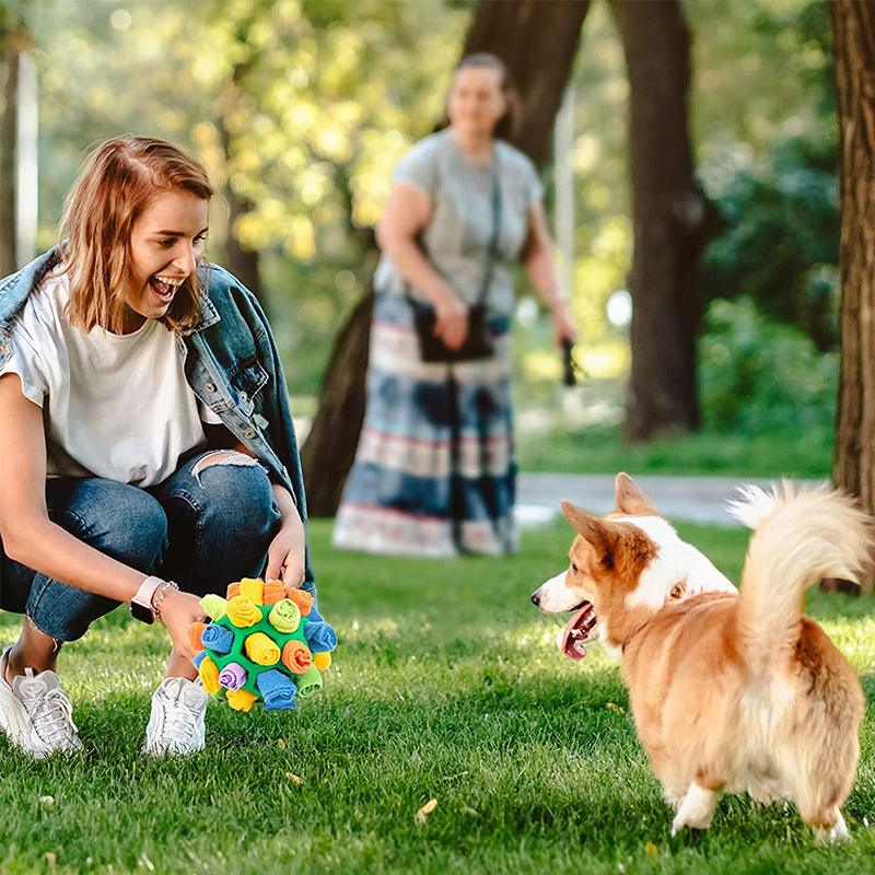 Snufflefun – Interactive Sniffing Toy + Mental Stimulation for Dogs, Cats & Small Pets