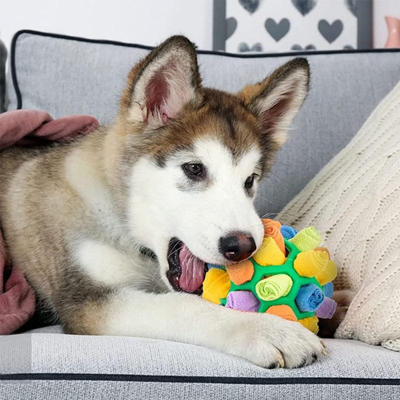 Snufflefun – Interactive Sniffing Toy + Mental Stimulation for Dogs, Cats & Small Pets
