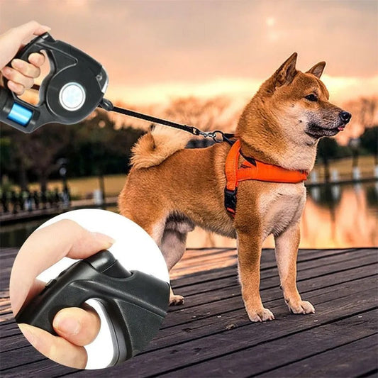 Amélie Lumière – LED Dog Leash with Flashlight | 4.5m Retractable Leash for Safe Evening Walks