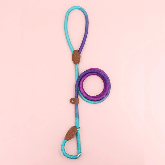 Clémentine Laisse – Colorful Dog Leash | Durable, Comfortable & Stylish for All Sizes