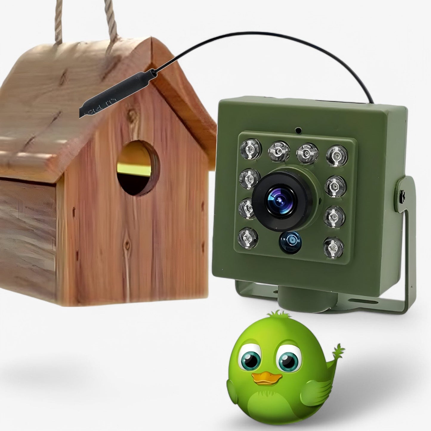 Nestcam WLAN Bird Nest Camera – 1080p HD Weatherproof Wildlife Camera with Night Vision, Motion Detection, and Remote Access