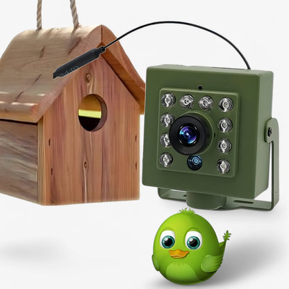 Nestcam WLAN Bird Nest Camera – 1080p HD Weatherproof Wildlife Camera with Night Vision, Motion Detection, and Remote Access