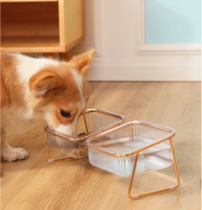 DIGESTO™⎪Elevated Feeding Bowl for Cats & Small Dogs