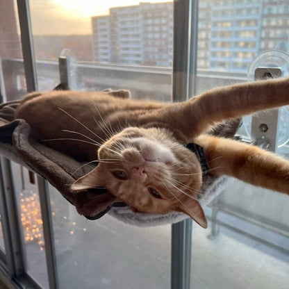 Pawperch – Foldable Cat Hammock with Wall-Friendly Mount | No-Drill Window Seat for Cats