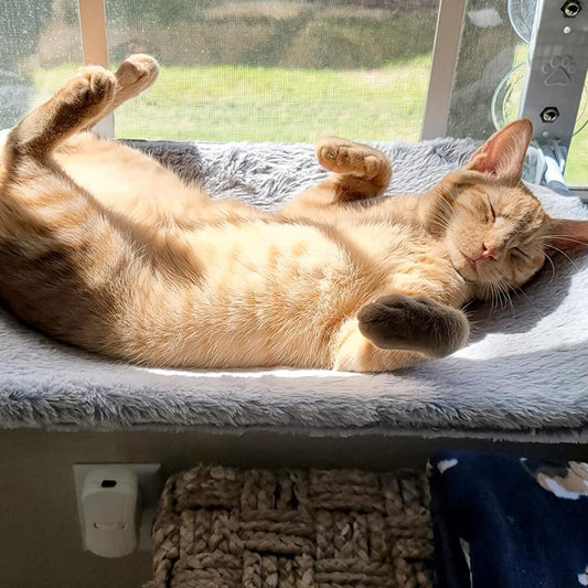 Pawperch – Foldable Cat Hammock with Wall-Friendly Mount | No-Drill Window Seat for Cats