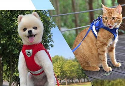 Adventure Harness – Escape-Proof Cat Harness with Reflective Leash for Safe Outdoor Exploration