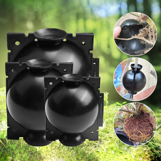 Rootball Grow Box – Effortless Plant Propagation with Reusable Rooting Container